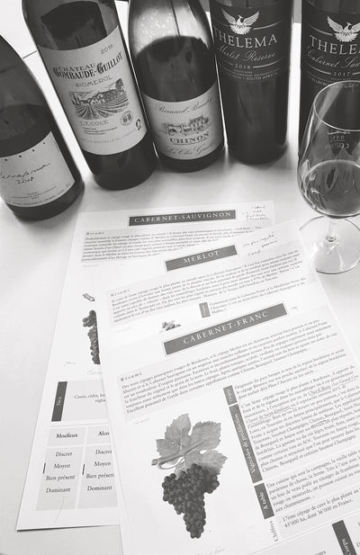 Petit feed back atelier Cabernet-Franc, Cabernet-Sauvignon & Merlot