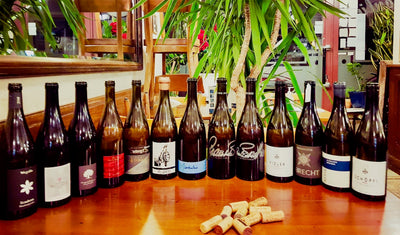 Rapide feed back atelier Pinot Noir des Grisons, le best of !