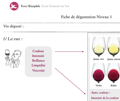 Fiche de dégustation Niveau 1 de Terre Œnophile